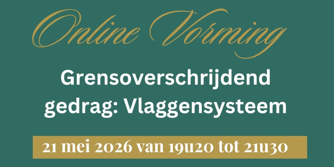 Workshop Online Vlaggensysteem